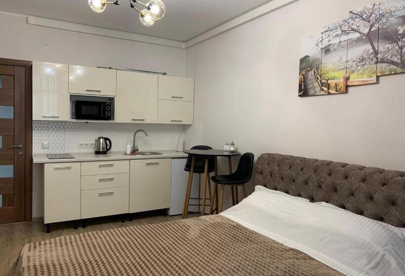 апартаменти студія на герцена