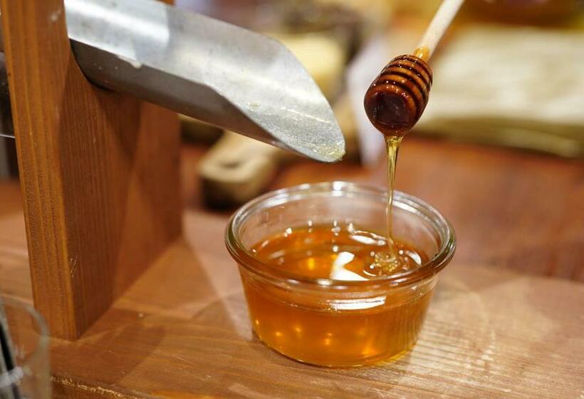 בית מלון כפרי Silk