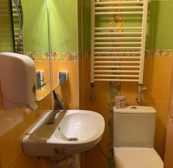 Общежитие будинок художника шипіт