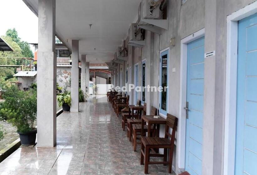 旅馆 Pondok Kelapa Homestay Lampung Mitra Reddoorz