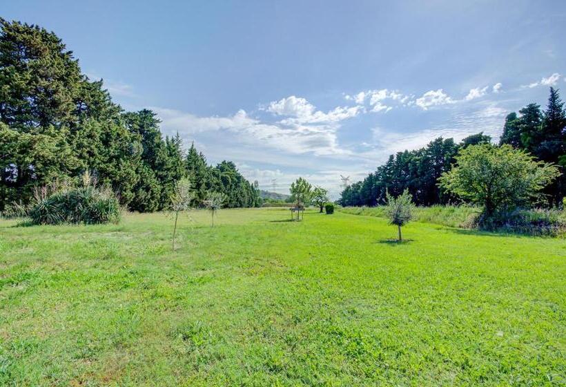 مبيت وإفطار Mas D'auseu