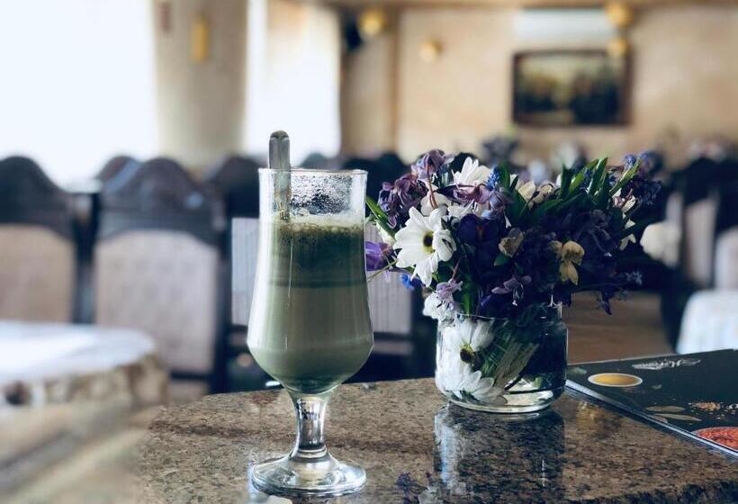 호텔 карпаты