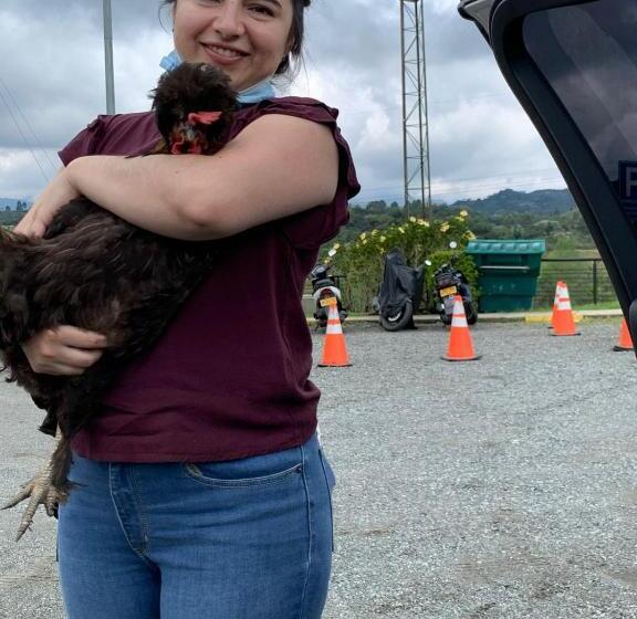 فندق Hostal Casa Victoria Pijao