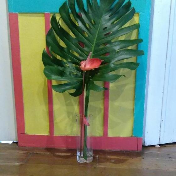 فندق Hostal Casa Victoria Pijao