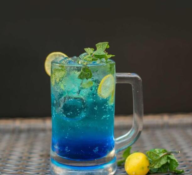 ホテル Oyo 72863 New Satkar