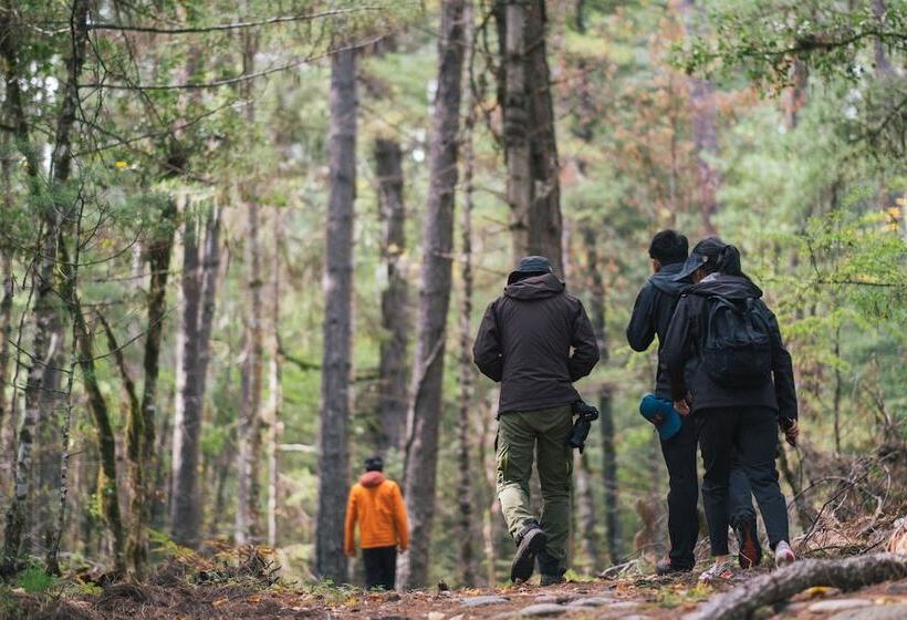 Отель Songtsam Linka Bomi