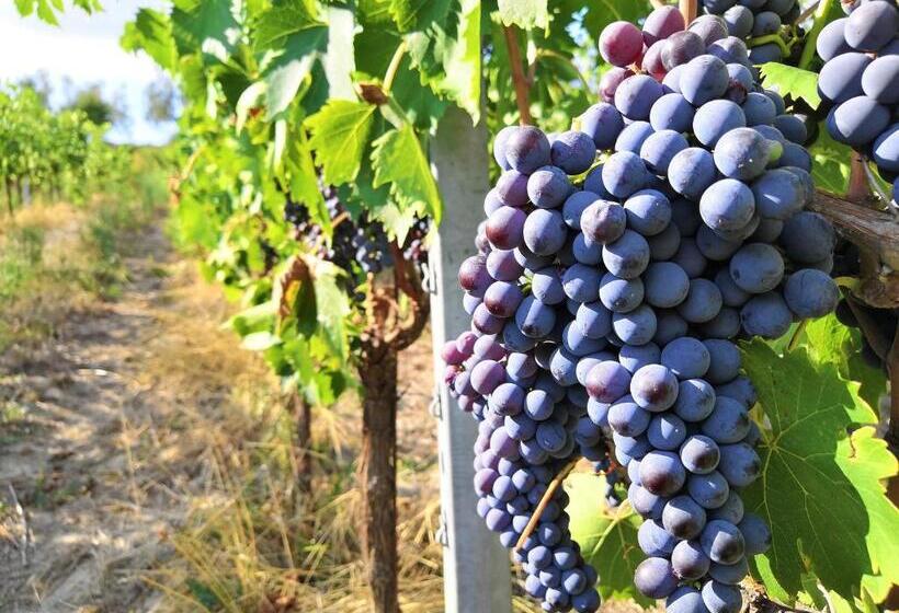 هتل Tenuta Barbadoro Agriturismo Apartment