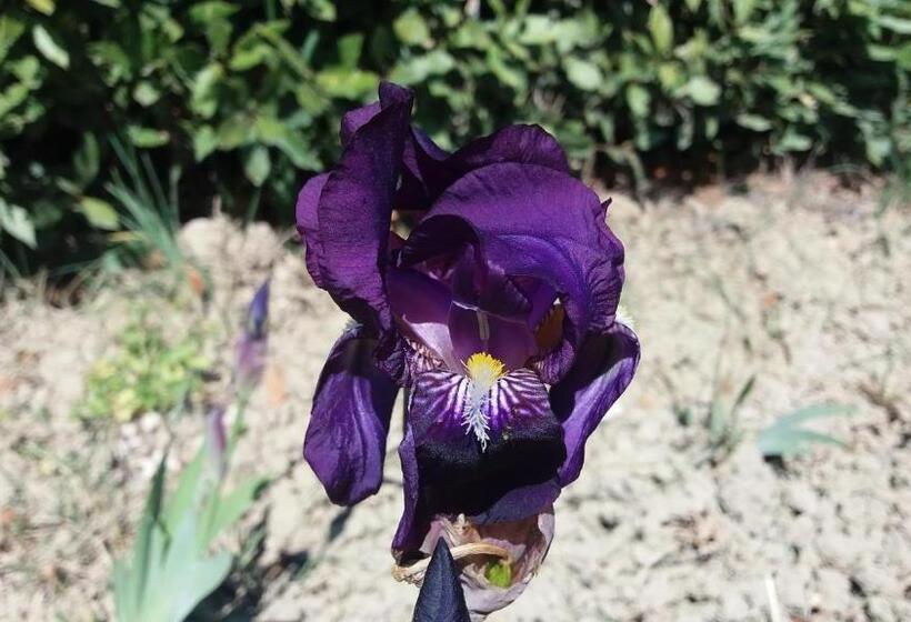 هتل Tenuta Barbadoro Agriturismo Apartment