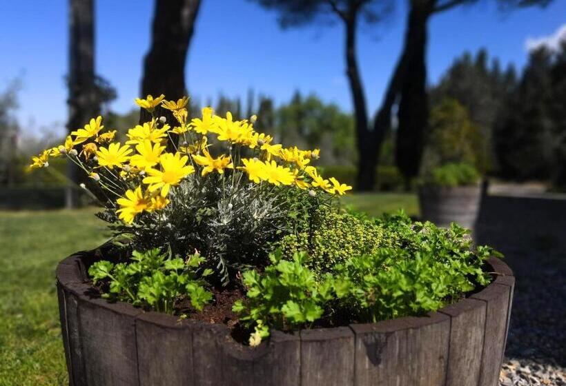 هتل Tenuta Barbadoro Agriturismo Apartment