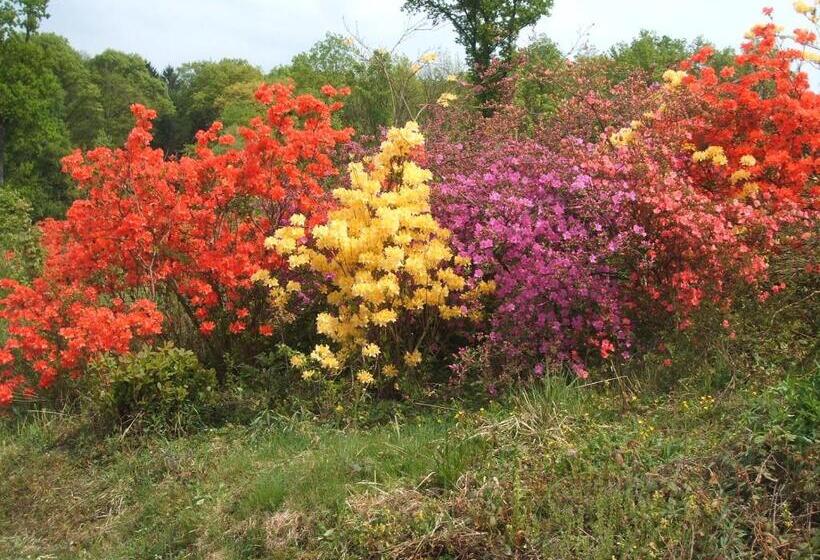 Kisrejtek Apartmanház