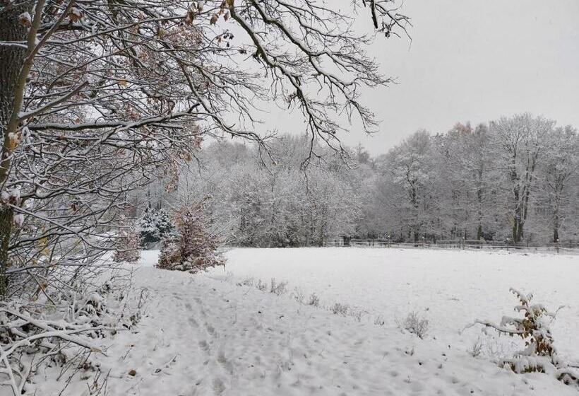 Landhotel Waldschlößchen Mit Gaststube