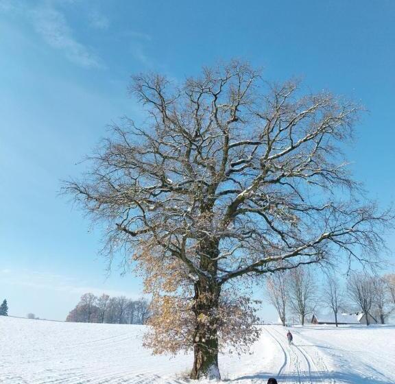 Landhotel Waldschlößchen Mit Gaststube