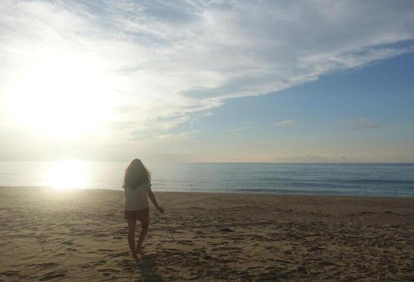 Пансион 大田市ゲストハウス 雪見院 Guesthouse Yukimi Inn