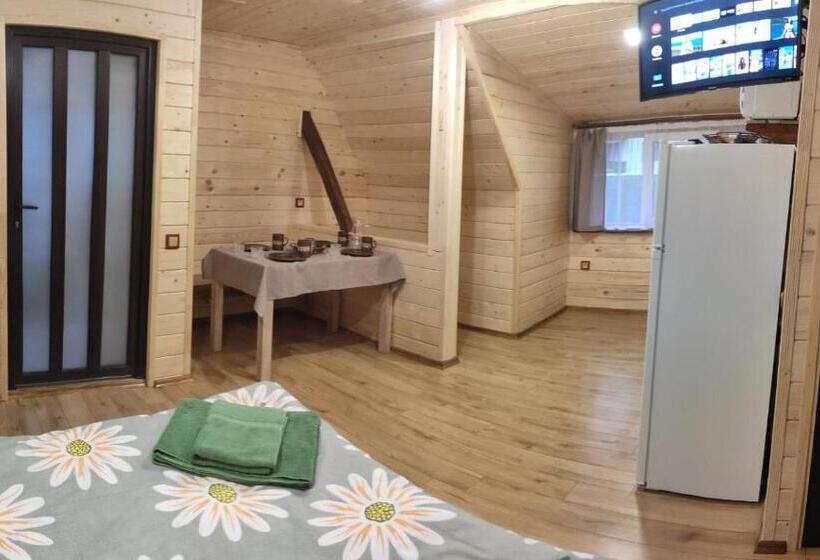 Pensionat нота карпат