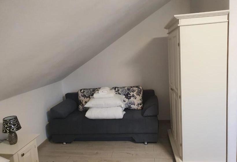 Пансион Casa Alexandru – Locul în Care Te Simți Acasă