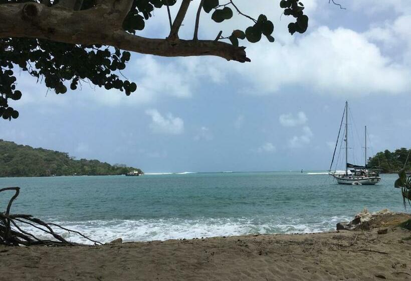 פנסיון Ecocabaña Rosa María