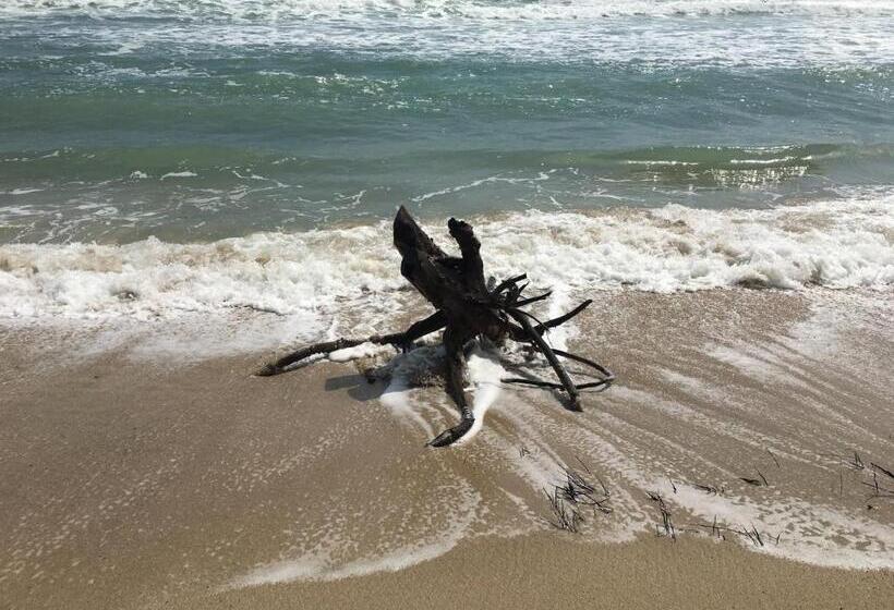 פנסיון Ecocabaña Rosa María