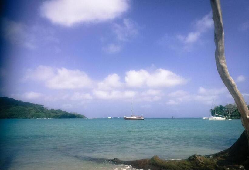 פנסיון Ecocabaña Rosa María