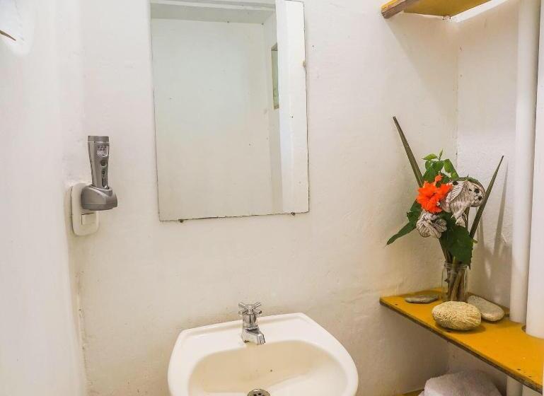 פנסיון Ecocabaña Rosa María