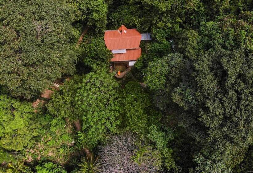 بنسيون Ecocabaña Rosa María