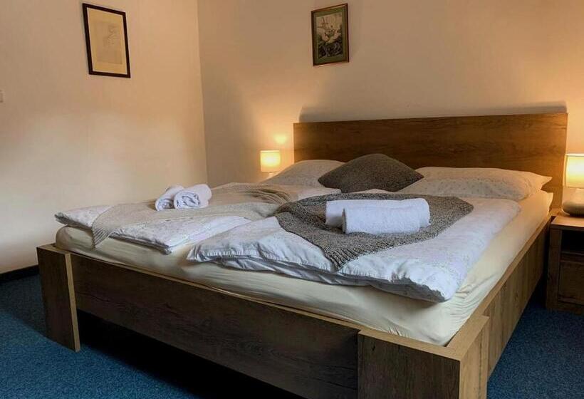 펜션 Penzion Rejštejn