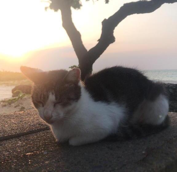 Pensionat Travelers House おーさんてぃん青空舎