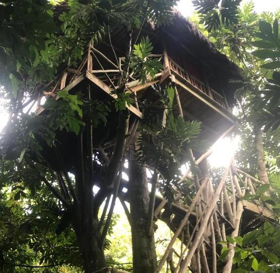 استراحتگاه Dominican Tree House Village