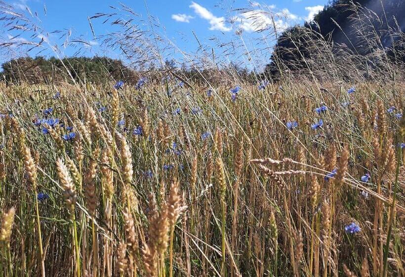 הוסטל Chambtaler Hof