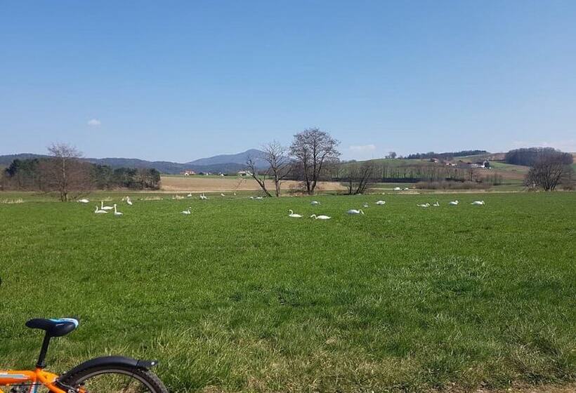 Общежитие Chambtaler Hof