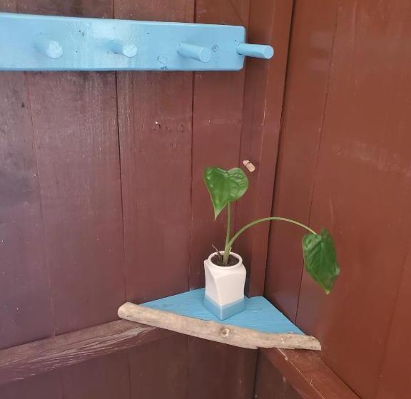 هاستل Posada El Esfuerzo