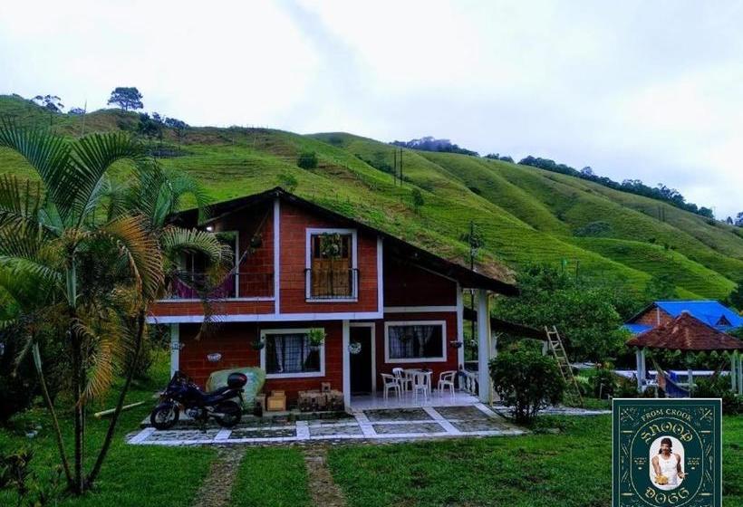 민박 La Finca De Manu420