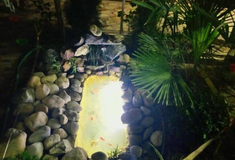 مبيت وإفطار Botanical