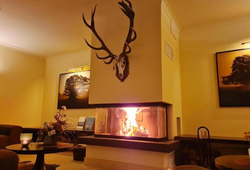 Farmer Hotel Basedow