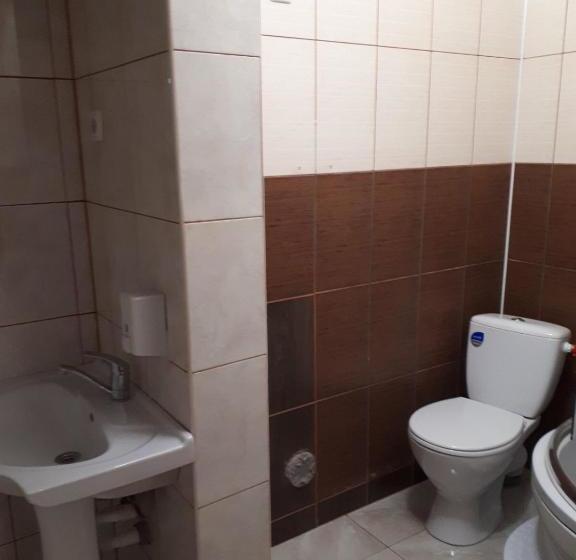 Hotel пані анна