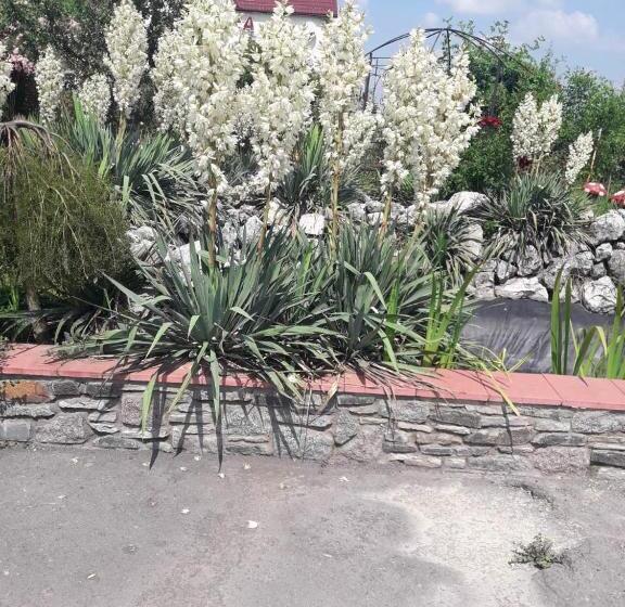 Hotel пані анна