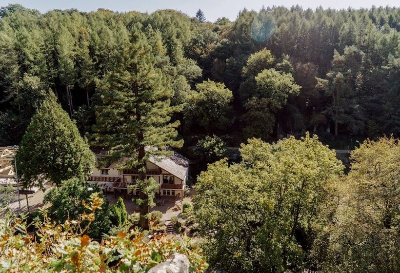 호텔 Logis Auberge De Pont Calleck