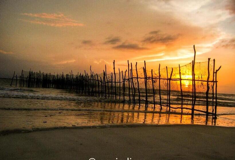 Отель Mitologia Algodoal