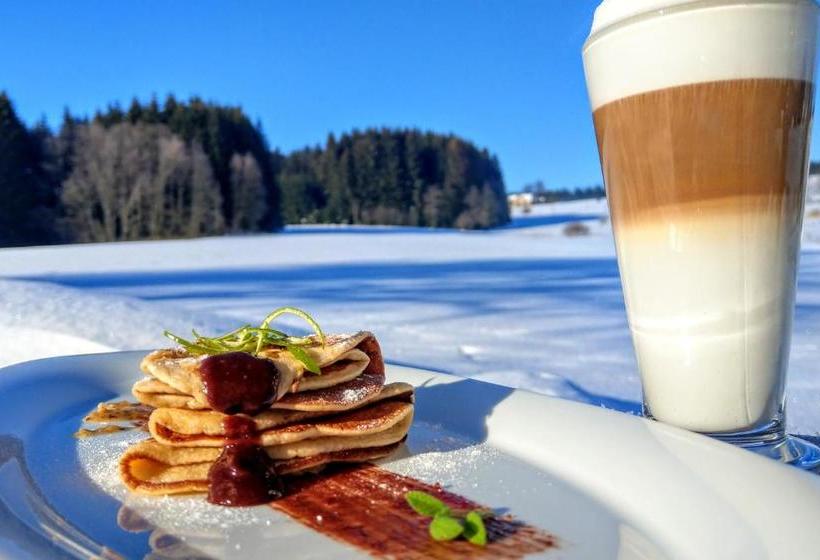Rodinný Hotel Pod Bílou Skálou