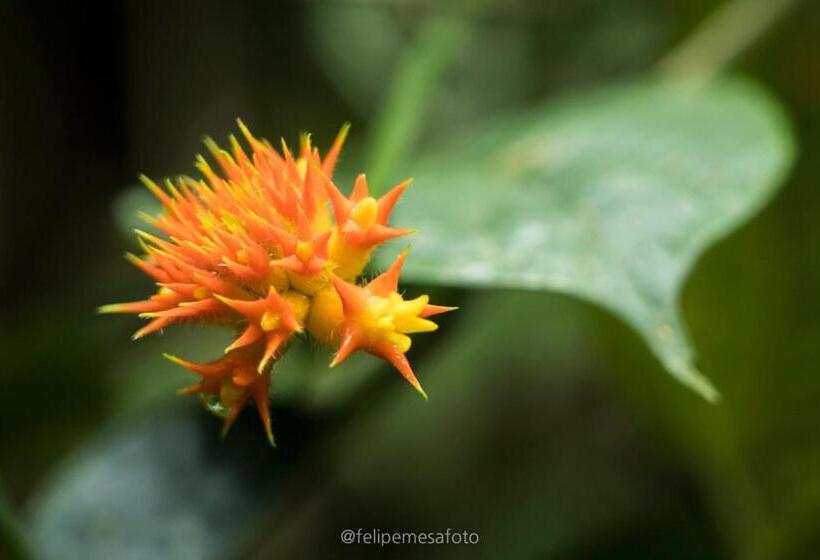هتل Safio. Una Casa En El Paraiso