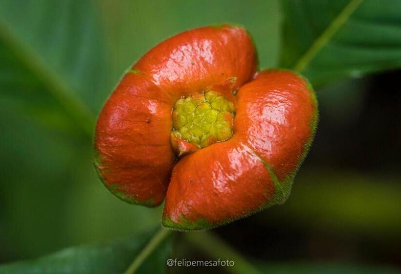 Отель Safio. Una Casa En El Paraiso