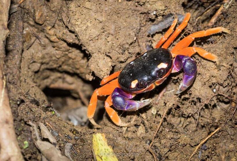 Отель Safio. Una Casa En El Paraiso