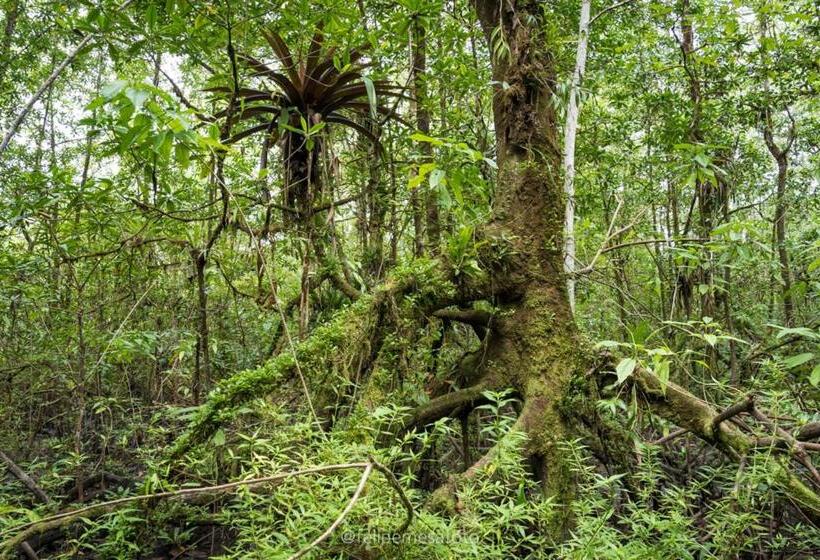 Отель Safio. Una Casa En El Paraiso