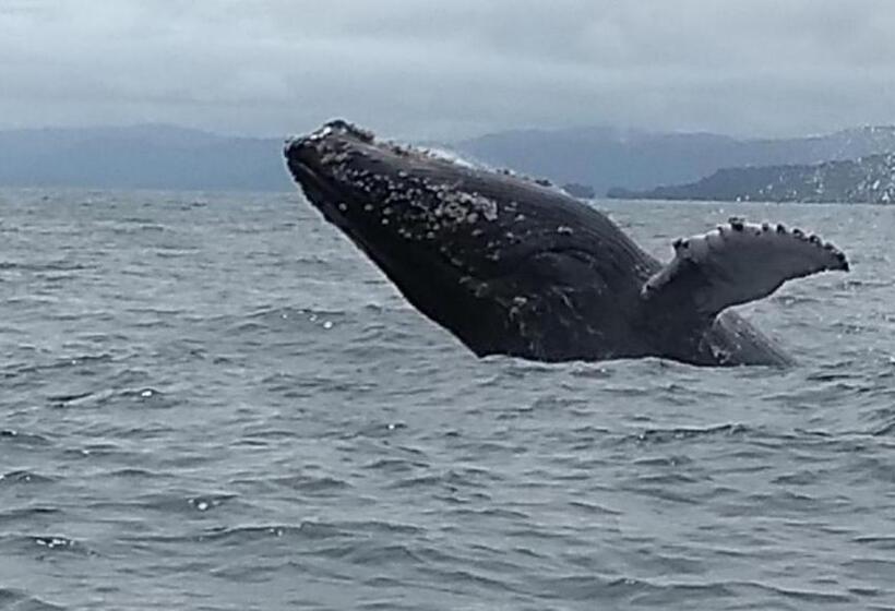 Отель Safio. Una Casa En El Paraiso