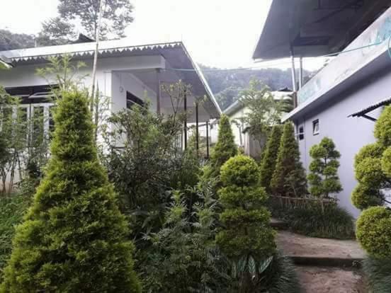 فندق Vamoose Yakchiri