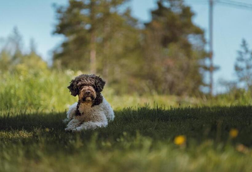 فندق Villa Ekbladh