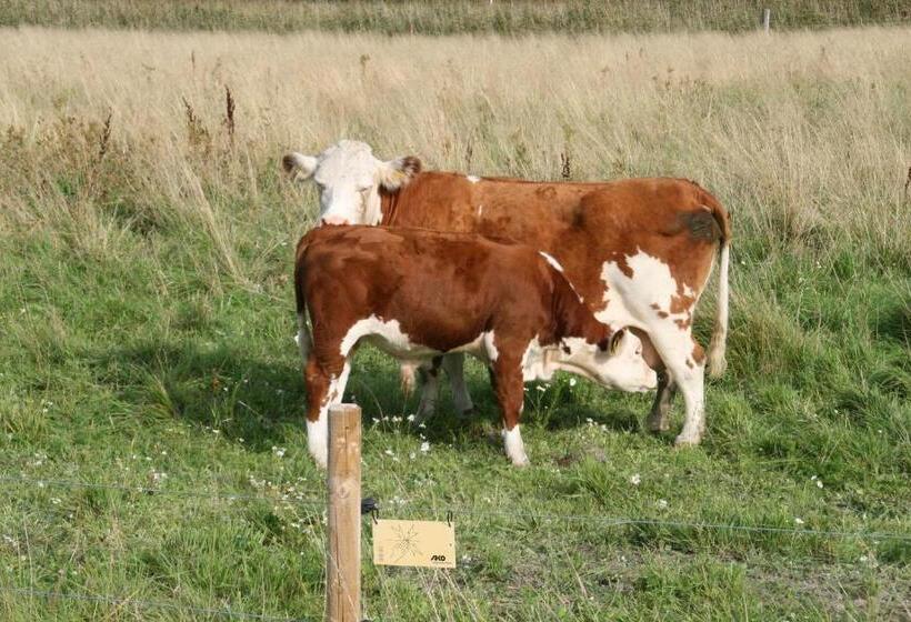 فندق Villa Ekbladh