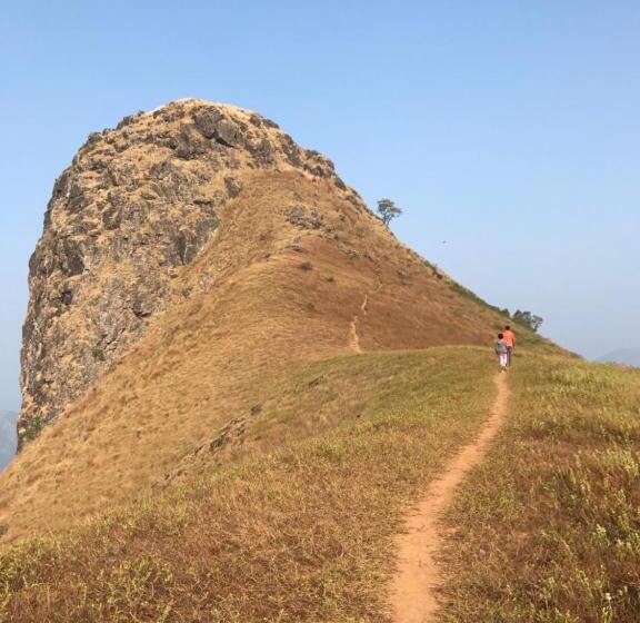 Machaan Plantation Resort, Sakleshpur