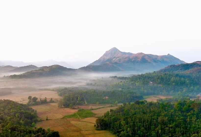 Machaan Plantation Resort, Sakleshpur
