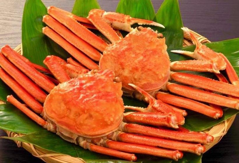 펜션 オーベルジュ美の浜 流石