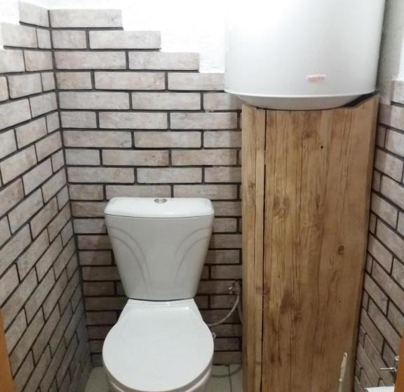 پانسیون колорит